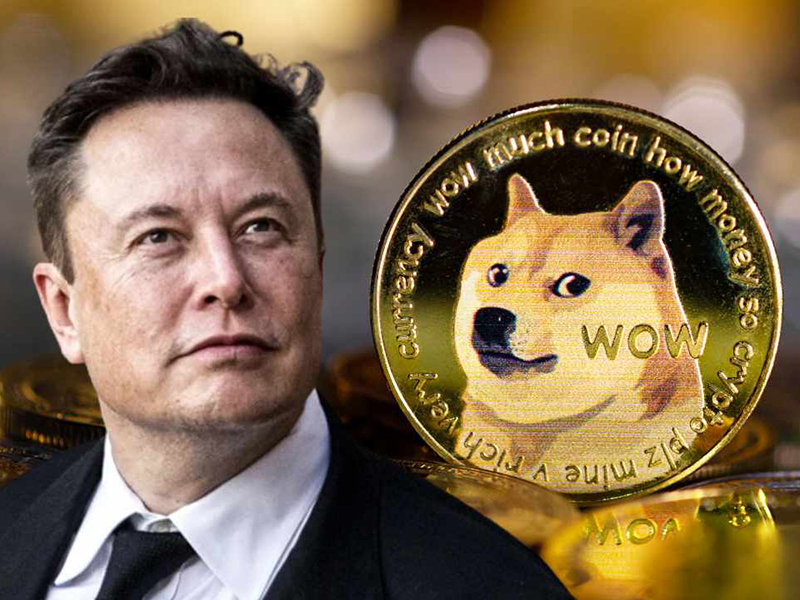 Quá trình phát triển của Dogecoin