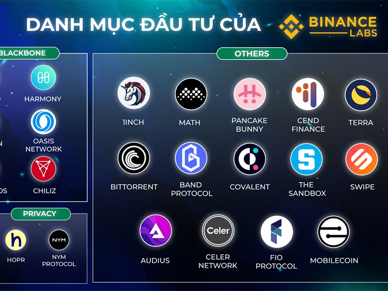 Các quỹ đầu tư Crypto Việt Nam