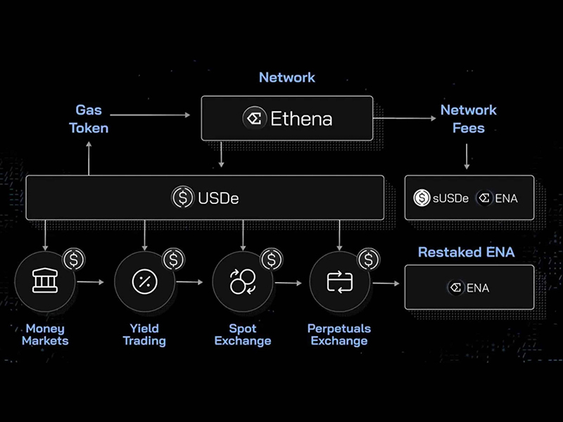 Đồng coin ENA gồm những loại nào?