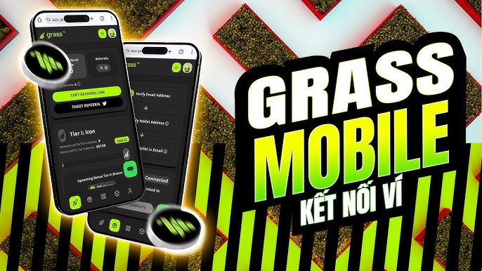 Các bước kết nối ví Grass