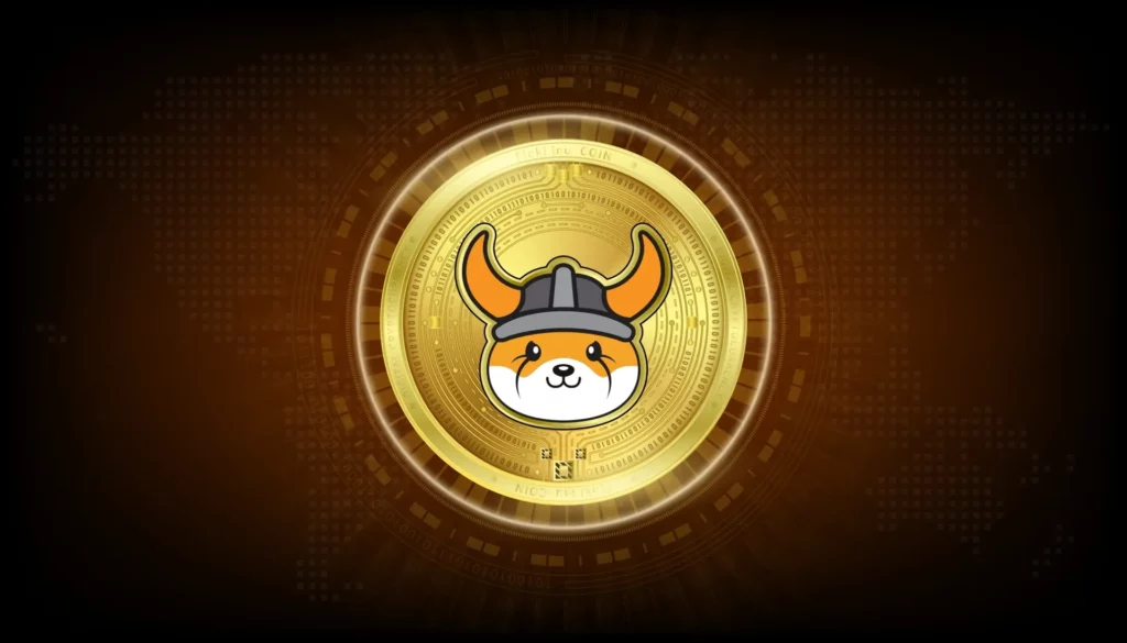 Floki coin là gì?