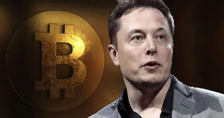 Đồng ELON để làm gì?