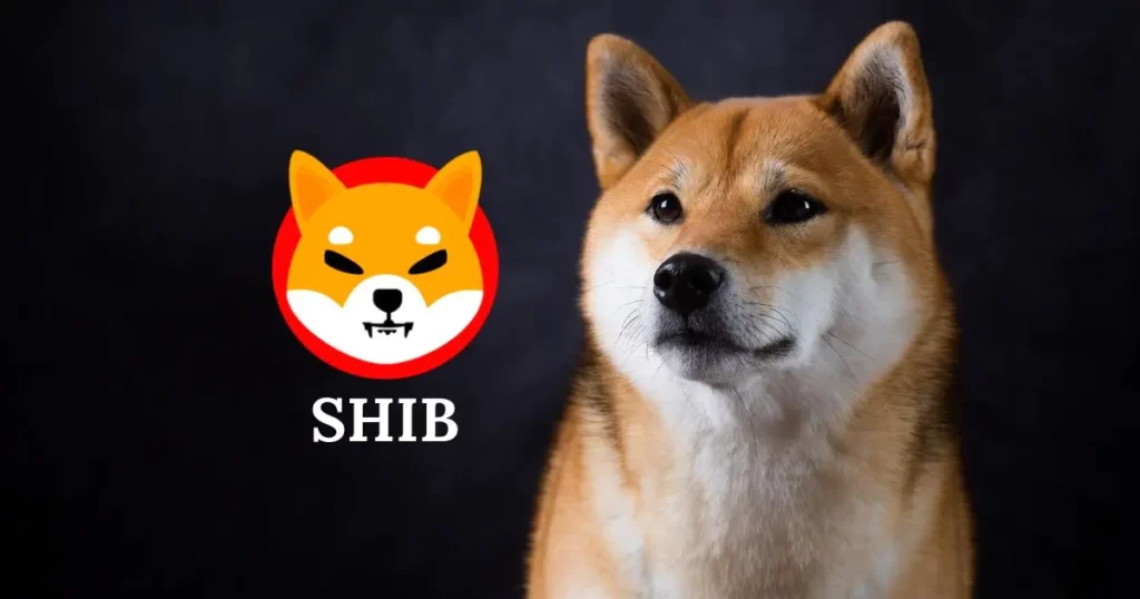Mã thông báo Shiba Inu là gì?